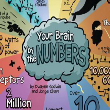 Your Brain by Numbers