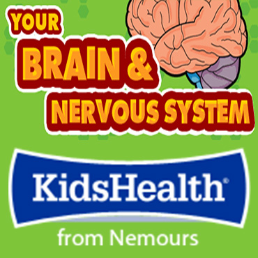 Your Brain is The Boss