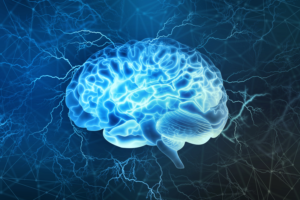 What Happens to the Brain During Passive Habits?