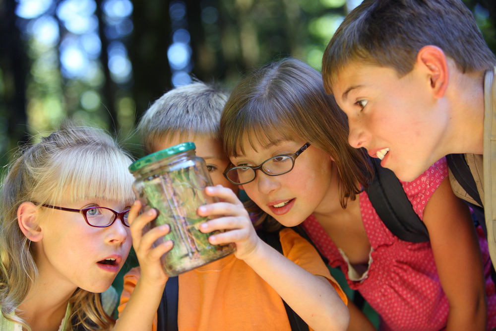 What Are Some Ways to Minimise Summer Learning Loss at Home?