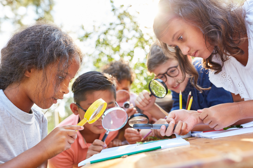 How The Brain Workshop Can Help Bridge the Gap